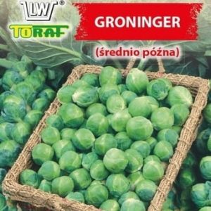 Kapusta brukselska Groninger 2g - TORAF