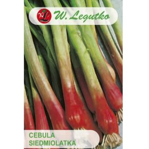 Cebula Siedmiolatka Red Toga nasiona 2g - W. Legutko
