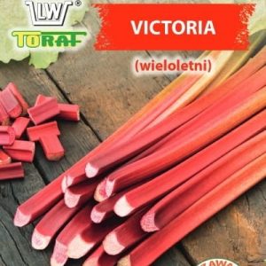 Rabarbar Victoria nasiona 0,5g - TORAF