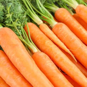 Marchew Amsterdam 3 nasiona 5g - Raj Ogrodnika