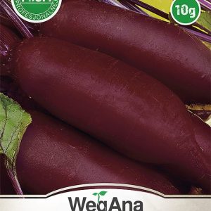 Burak ćwikłowy Alexis 20g - WegAna