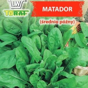 Szpinak Matador 5g - TORAF