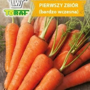 Marchew Pierwszy Zbiór 5g - TORAF