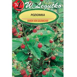 Poziomka Baron von Solemacher nasiona 0.2g - W. Legutko