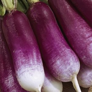 Rzodkiewka Felicja 5g - WegAna