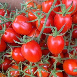Pomidor koktajlowy wysoki Tutti Frutti F1 nasiona 7szt. - VILMORIN