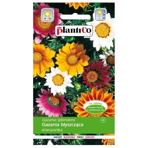 Gazania błyszcząca mieszanka nasiona 0,3g - PlantiCo