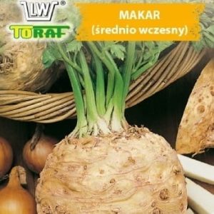 Seler korzeniowy Makar odporna odmiana 1g - TORAF