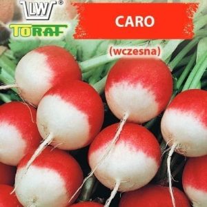 Rzodkiewka Caro 10g - TORAF
