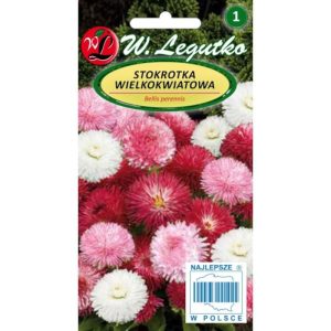Stokrotka pospolita wielkokwiatowa MIX nasiona 0,1g - W. Legutko