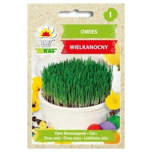 Owies Wielkanocny świąteczny nasiona DUŻA PACZKA 30g - TORAF