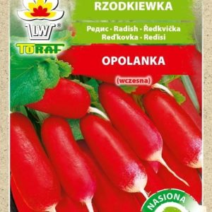 Rzodkiewka Opolanka nasiona na taśmie 6m - TORAF