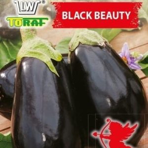 Bakłażan Black Beauty nasiona 1g - TORAF