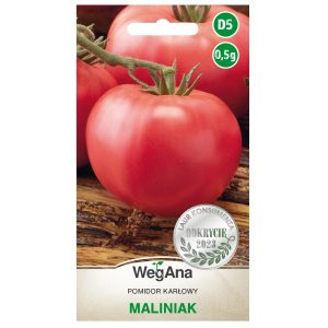 Pomidor karłowy Maliniak nasiona 0,5g - WegAna