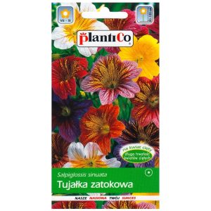 Tujałka zmienna nasiona 0,5g - PlantiCo