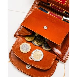 Skórzany portfel damski w brązowym kolorze zamykany zatrzaskiem - Peterson