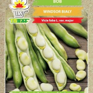 Bób Windsor Biały TORAF 50g