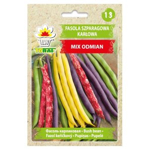 Fasola zwykła karłowa szparagowa Mix Odmian nasiona 40g - TORAF