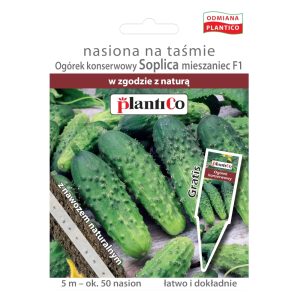 Ogórek gruntowy Soplica nasiona na taśmie 5m - Plantico