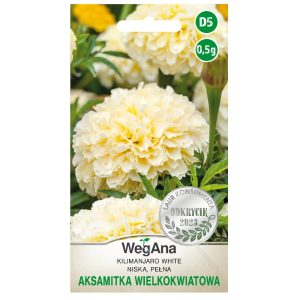 Aksamitka niska wielkokwiatowa Kilimanjaro White nasiona 0,5g - WegAna