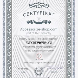 Zegarek ARMANI AR5941. Kwarcowy, Kolor biały. Kobieta.