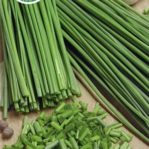 Szczypiorek Prazska 2g - WegAna