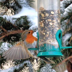 Karma Mieszanka zimowa dla dużych ptaków i wiewiórek ziarno 1kg