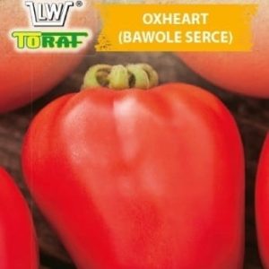 Pomidor Oxheart Bawole Serce 0,5g - TORAF