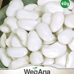 Fasola wielkokwiatowa karłowa na nasiona Riposta 40g - WegAna