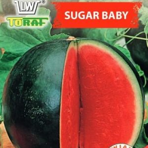 Arbuz Sugar Baby nasiona 1g - TORAF