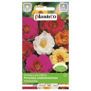 Portulaka wielkokwiatowa mieszanka nasiona 0,5g - PlantiCo