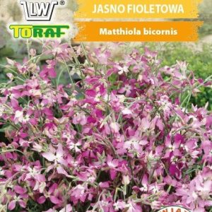 Maciejka nasiona 3g - TORAF
