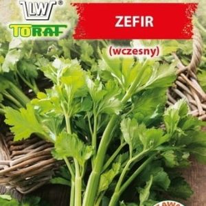 Seler naciowy Zefir nasiona 0,5g - TORAF
