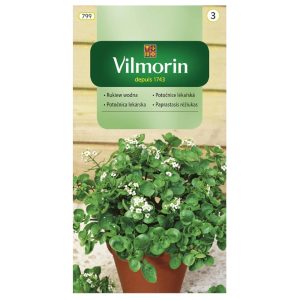 Rukiew wodna nasiona 0,5g - VILMORIN