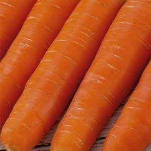 Marchew Galaxy 5g - WegAna