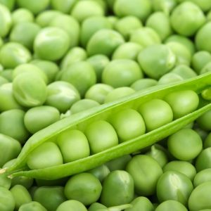 Groch Ambrosia 50g - TORAF