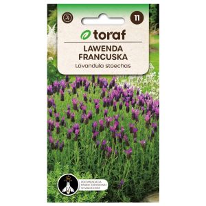 Lawenda francuska nasiona 0,1g - TORAF