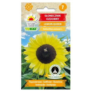 Słonecznik ozdobny Lemon Queen nasiona 2g - TORAF