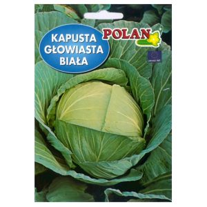 Kapusta głowiasta biała Jasper mieszaniec nasiona 0,5g - POLAN
