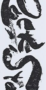 Kamień Shapton ROCK STAR [60416] do ostrzenia o gradacji 3000