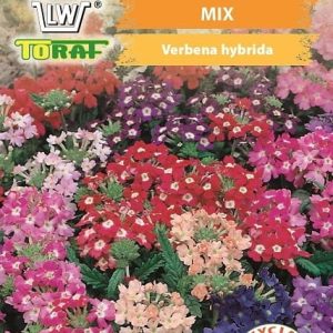 Werbena ogrodowa mix nasiona 0,3g - TORAF
