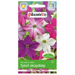Tytoń skrzydlaty nasiona 0,3g - PlantiCo