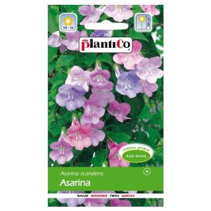 Asarina mieszanka nasiona 0,01g - PlantiCo