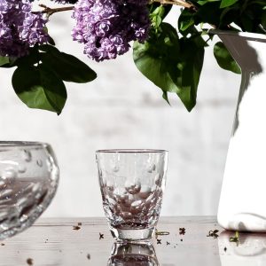 Crystal Julia Kieliszki kryształowe do wódki 6 sztuk Aeris