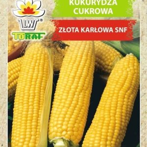 Kukurydza Cukrowa Złota Karłowa nasiona 20g - TORAF