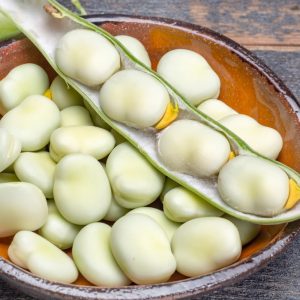 Bób Bachus nasiona 1000g - PlantiCo