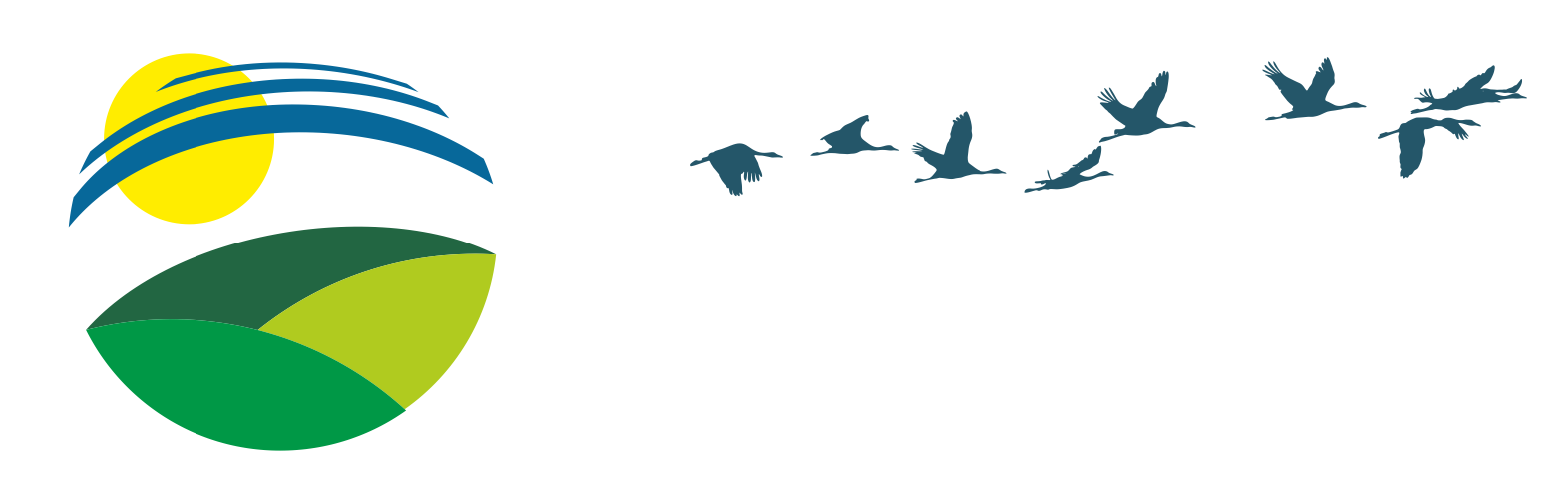 Miliony produktów, jedna strona – znajdź wszystko, czego szukasz!