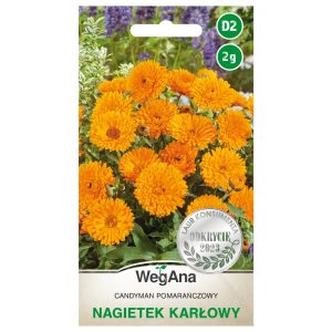 Nagietek karłowy Candyman pomarańczowy nasiona 2g - WegAna