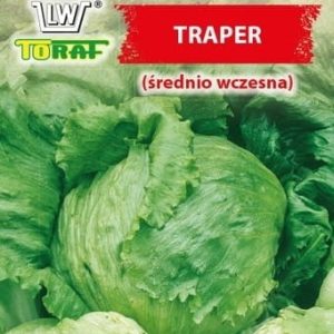 Sałata Traper Krucha Lodowa 1g - TORAF