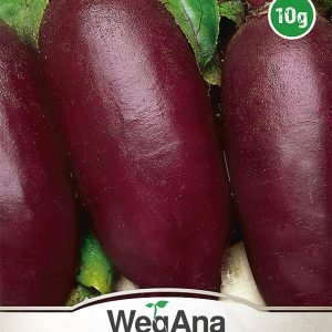Burak cwiklowy Opolski 10g nasiona - WegAna